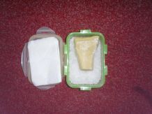Parmesan lange haltbar machen