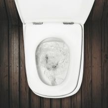 Verstopfte Toilette freibekommen