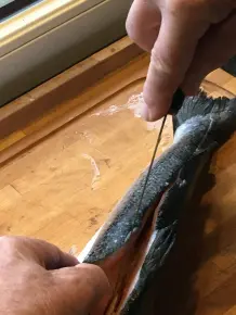 Gravad Lax mit Honig-Dill-Soße
