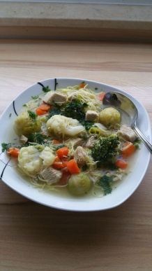 Nudel-Gemüsesuppe mit Putenbrust
