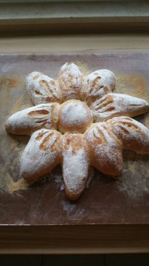 Brot-Sonnenblume
