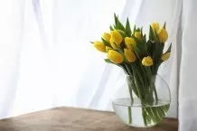 Strauß Tulpen bis zu 2 Wochen haltbar machen