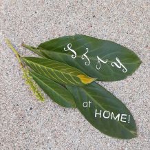 Stay at home - Zuspruch aus der Natur!