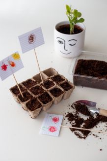 Eigenes Essen zu Hause und im Garten anbauen