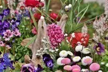 Blumenkalender und essbare Blumen