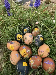 Ostereier mit Wiesenblumen