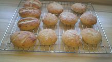 Weizenbrötchen mit wilder Hefe backen