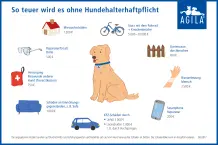 Hundehaftpflichtversicherung – nötig für jeden Hundehalter?