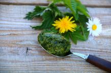 Wildkräuter-Pesto a la Silva