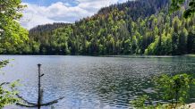 Schwarzwald: Ausflugsziele und Wandertipps #ReiseMontag