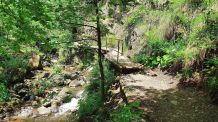 Schwarzwald: Ausflugsziele und Wandertipps #ReiseMontag