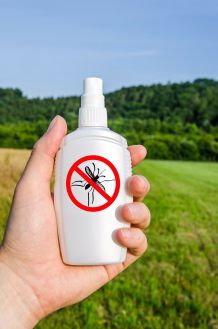 Wunderbares Mittel gegen Mückenstiche