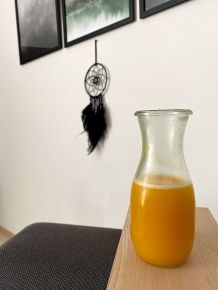 Kühles und gesundes Sommergetränk mit Aloe, Melone & Orange
