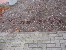 Herbstlich dekorieren