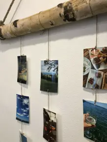 Hängende Fotowand am Birkenstamm | DIY
