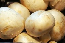 Pilze putzen, nie waschen