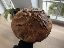 Dinkel-Sauerteig & einfaches Sauerteig-Dinkelbrot