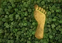 Ökologischer Fußabdruck - Definition