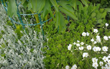 Blumen- und Pflanzenstützen aus Gartenzaun herstellen