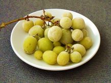 Tiefgefrorene Weintrauben knabbern – köstlich!