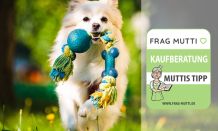 Hundespielzeug Test & Vergleich 2021: 5 günstige Empfehlungen