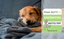 Hundedecken Test & Vergleich 2021: 6 günstige Empfehlungen