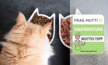 Katzenfutter Test & Vergleich 2021: 6 günstige Empfehlungen