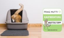 Katzenklos Test & Vergleich 2021: 6 günstige Empfehlungen