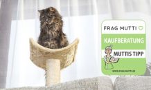 Katzenbäume Test & Vergleich: 6 günstige Empfehlungen