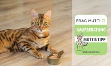 Nasses Katzenfutter Test & Vergleich 2021: 6 Empfehlungen
