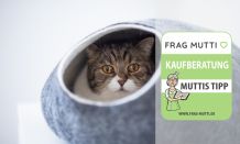 Katzenhöhle Test & Vergleich: 6 günstige Empfehlungen