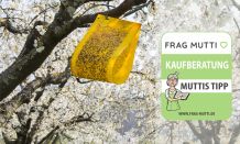 Fruchtfliegenfalle Test & Vergleich: 6 Empfehlungen