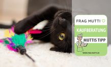 Katzenspielzeug Test & Vergleich: 6 günstige Empfehlungen