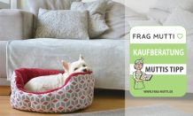 Hundebetten Test & Vergleich: 7 günstige Empfehlungen