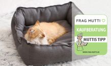 Katzenbetten Test & Vergleich: 6 günstige Empfehlungen