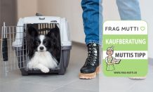 Hundebox Test & Vergleich: 6 günstige Empfehlungen