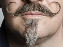 Haarige Zeiten – Bärte vom Hipster bis Movember #FunFriday
