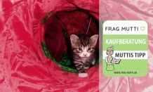 Katzentunnel Test & Vergleich: 6 günstige Empfehlungen