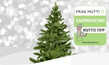 Christbaum Test & Vergleich: 6 günstige Empfehlungen