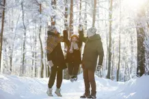 Warum frieren die Bäume im Winter nicht?