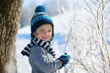 Warum frieren die Bäume im Winter nicht?