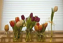 Farbenfrohe Frühlingsdeko mit Tulpen DIY