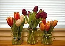 Farbenfrohe Frühlingsdeko mit Tulpen DIY