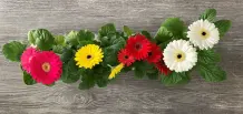 „Bernhards Welt“: Das Valentinstags-Massaker