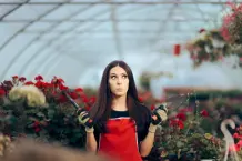 „Bernhards Welt“: Das Valentinstags-Massaker