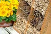 Wie baue ich ein Insektenhotel?