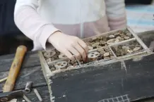 Wie baue ich ein Insektenhotel?