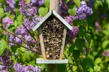 Wie baue ich ein Insektenhotel?