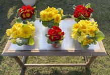 Upcycling im Garten: Tischplatte aus Polycarbonat-Zuschnittresten