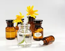 Arnica - Wirkung, Anwendung und Tinkturen